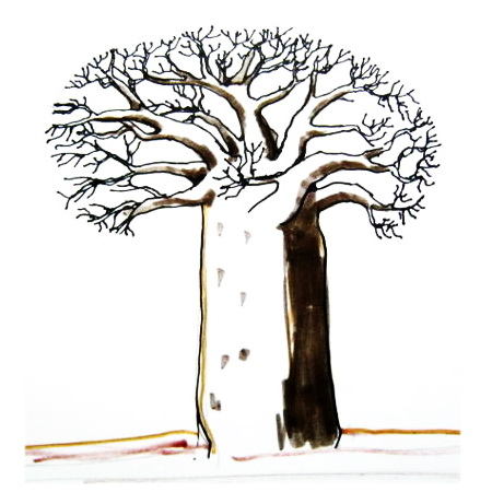 450x450 How To Draw A Baobab Tree