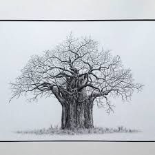 225x225 Image Result For Baobab Tree Drawing My Board