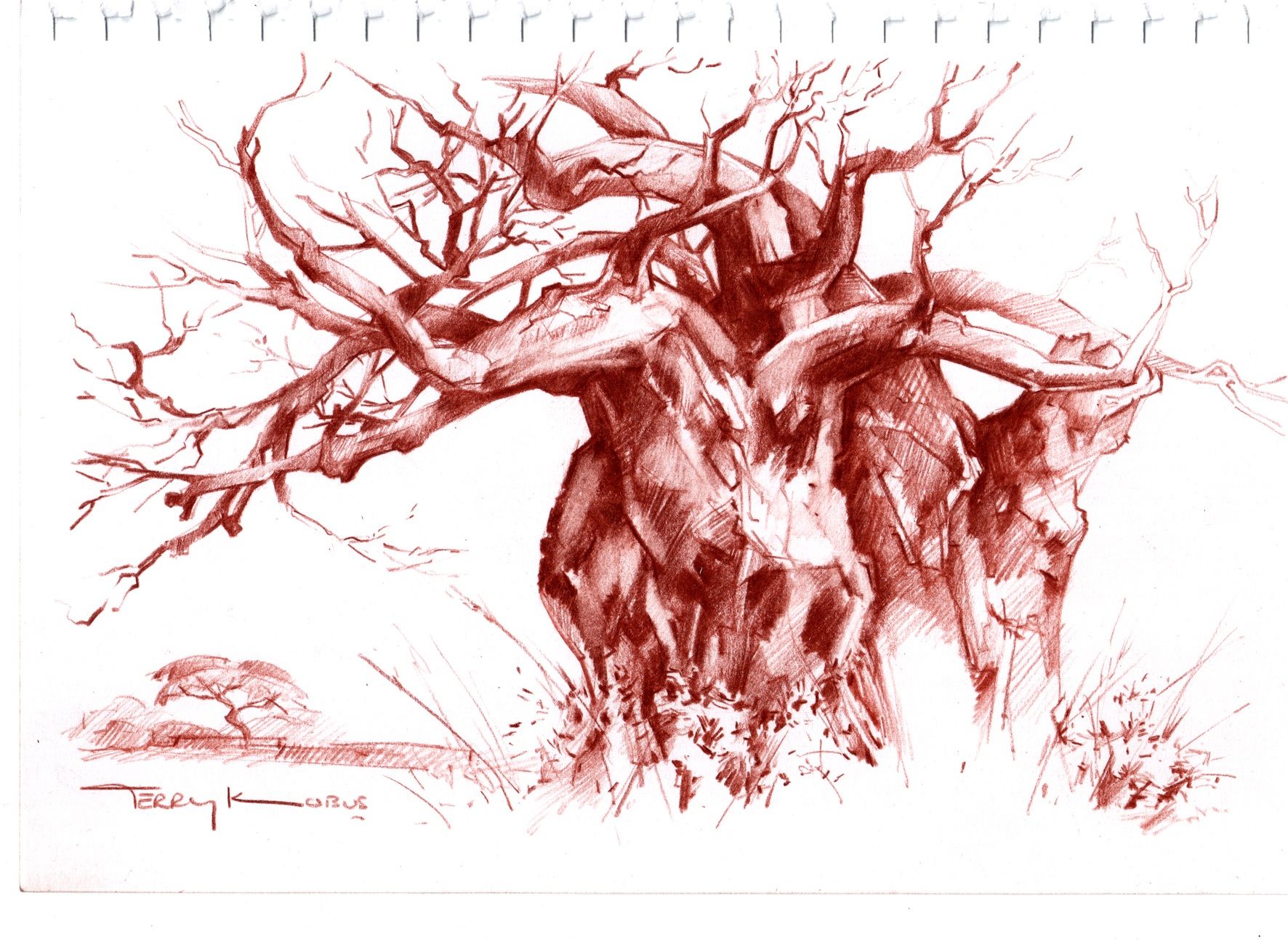 1772x1293 Terry Kobus