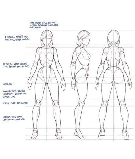 476x560 Amazing Proportion Tutorial By Independent Artist Warren Louw