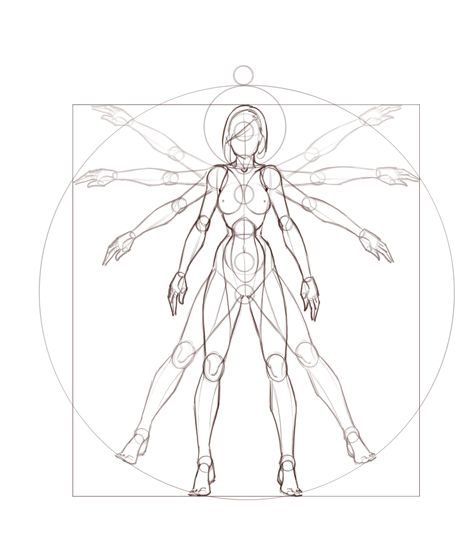 476x560 Drawing The Human Figure Drawing In Photoshop Via