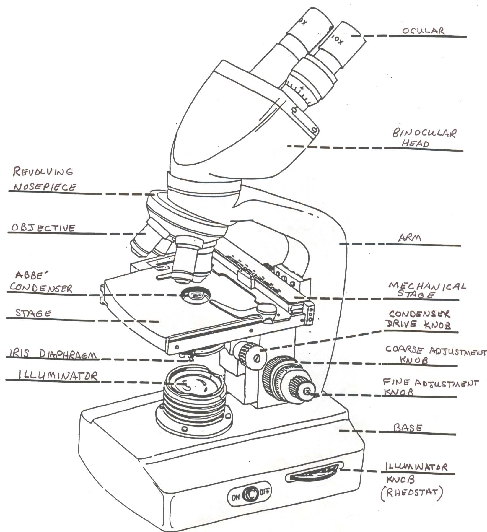 1649x1801 Collection Of Microscope Drawing With Label High Quality