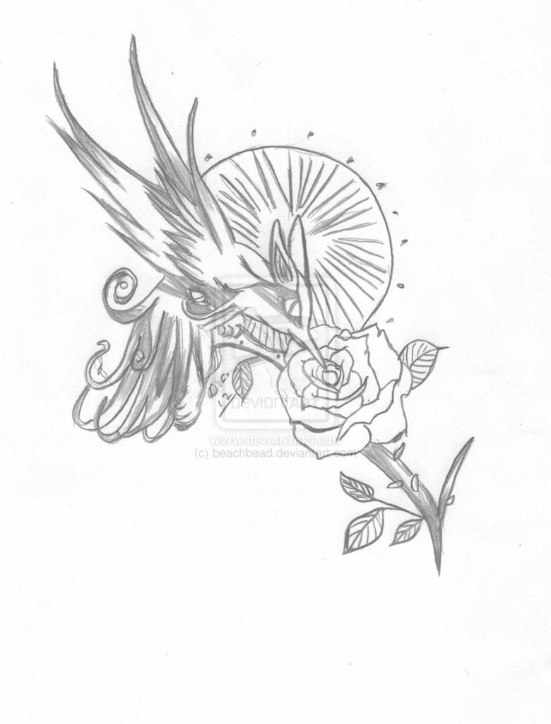 780x1024 Tattoos Of Humming Bird Hummingbird Tattoo Tumblr