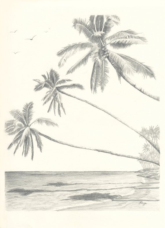 570x785 Hawaii Paradise Three Palm Tree Beach Pencil Drawing Print