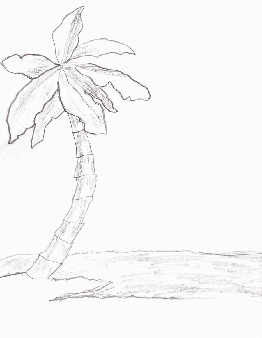 900x1161 Collection Of Tumblr Palm Tree Drawing High Quality, Free