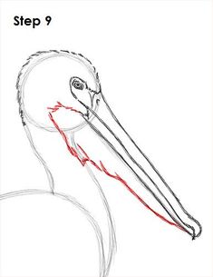 235x305 Free Printable Pelican Drawing. Printables By Sr Guyot