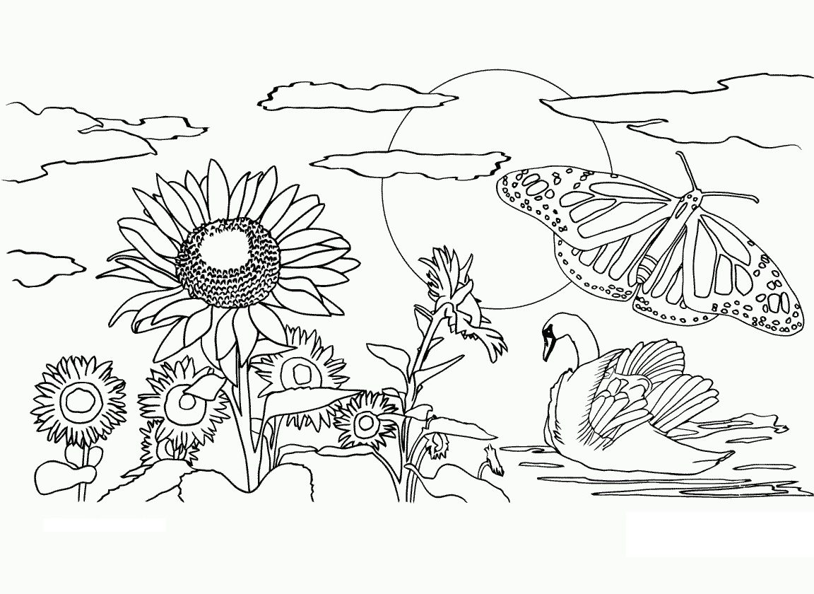 1152x840 Free Printable Nature Coloring Pages For Kids Beautiful Book