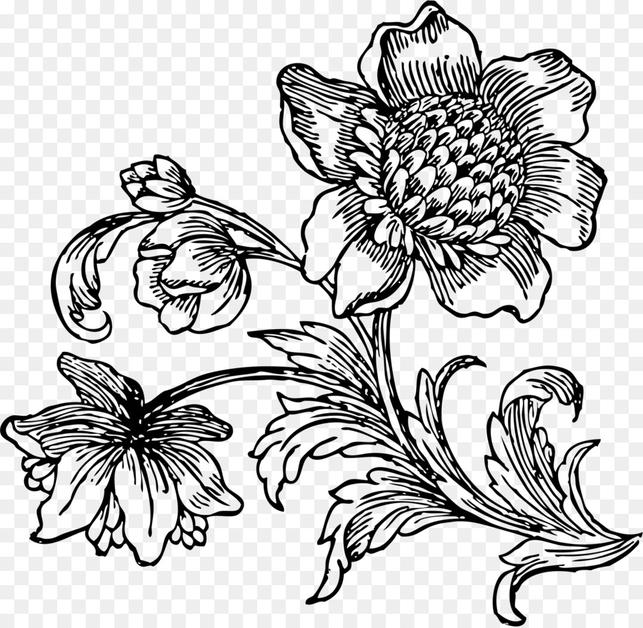 900x880 Flower Drawing Line Art Black And White Clip Art