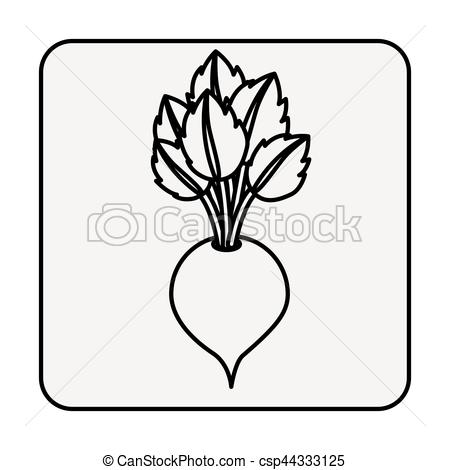450x470 Fresh Beet Vegetable Icon Vector Illustration Graphic Design