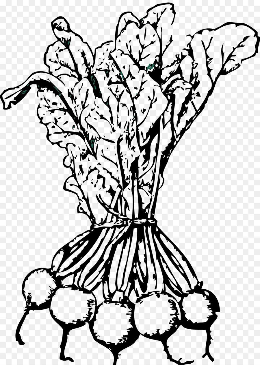 900x1260 Sugar Beet Beetroot Coloring Book Vegetable Clip Art