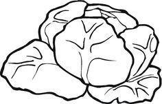 236x151 Beet Line Drawings