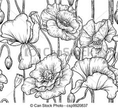236x215 Begonia Botanical Drawing
