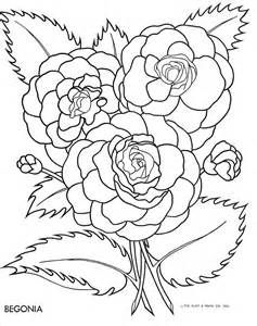 237x300 Begonia Colouring Pages Sketch Template Tattoo