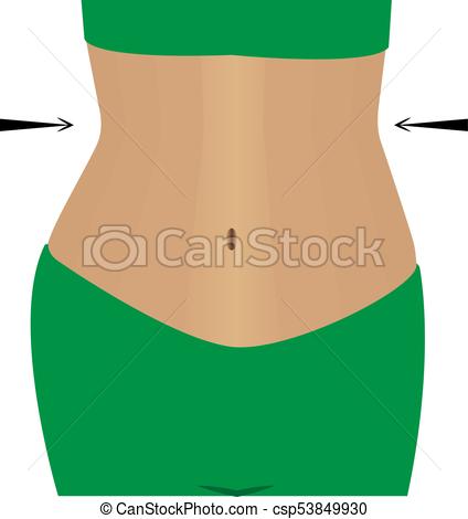 424x470 Slimmimg Female Belly Vector Illustration Vectors