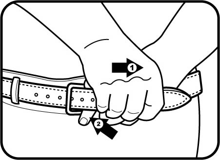 451x328 Latigo Canyon Money Belt