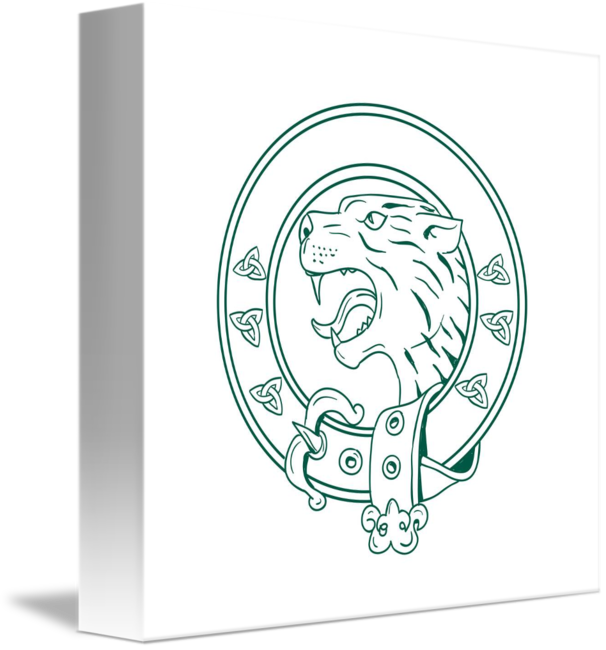 606x650 Scottish Wildcat Head Celtic Belt Drawing By Aloysius Patrimonio