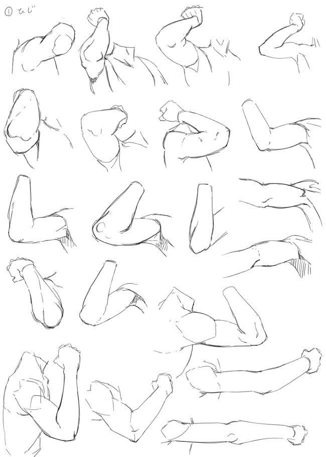 650x909 Bending Arm References Artsy Things Anatomy