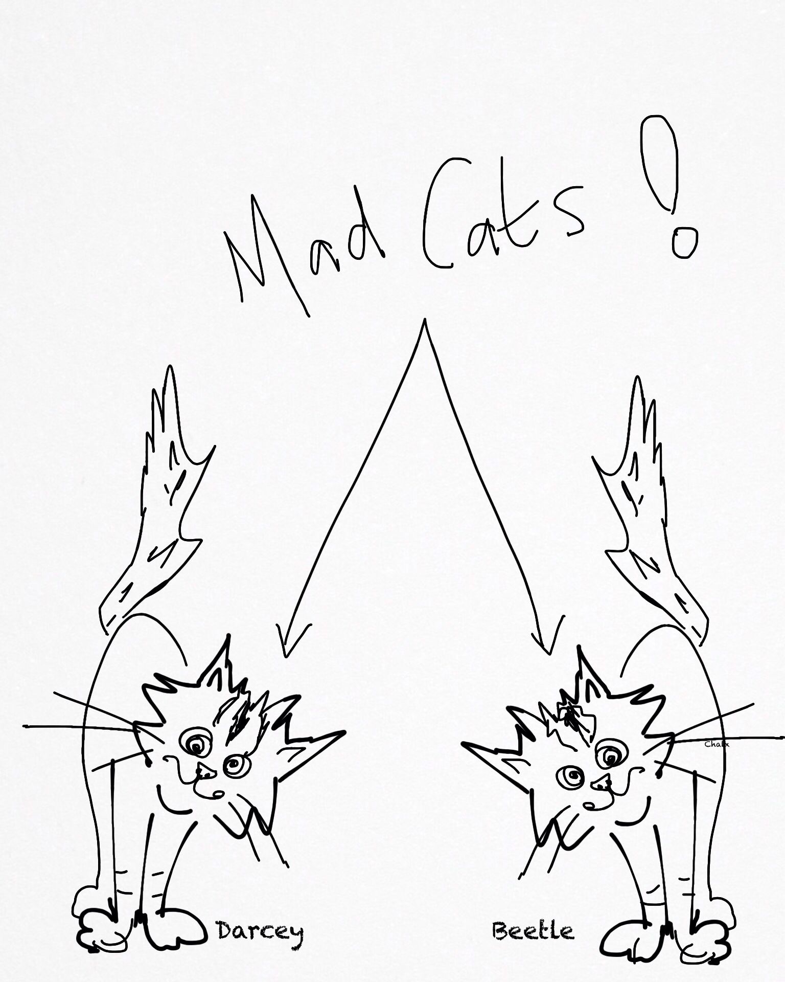 1536x1920 Like Mother, Like Daughter Darcey Bussell And Beetle Bengali Cat