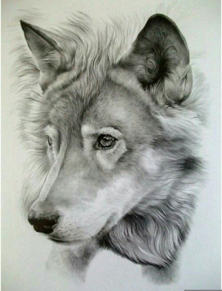782x1024 Best Drawings Ever In The World Photos Best Drawing In The World