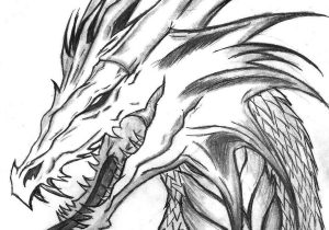 300x210 Best Drawings Of Dragons