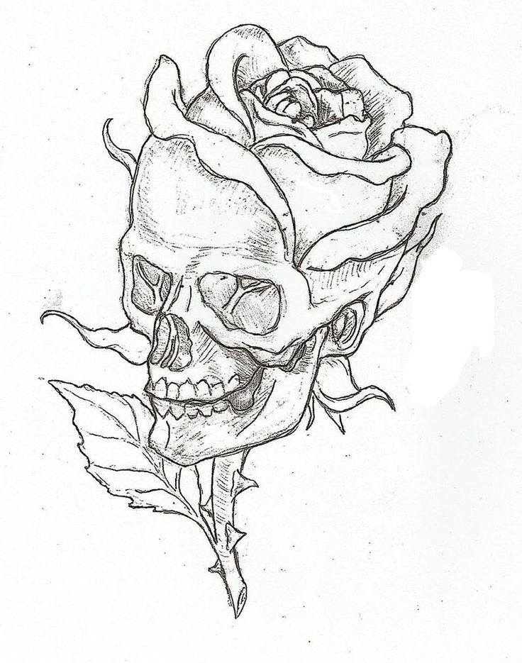 736x935 Gallery Sketch Boy Cool Rose Image,