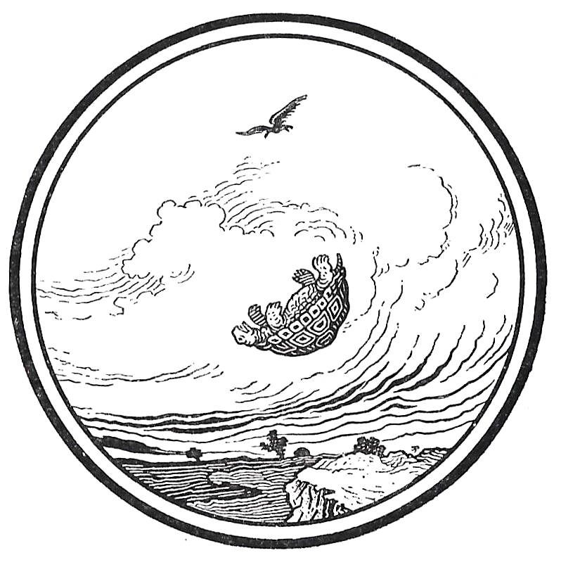 798x806 The Tortoise Falling', By Richard Heighway