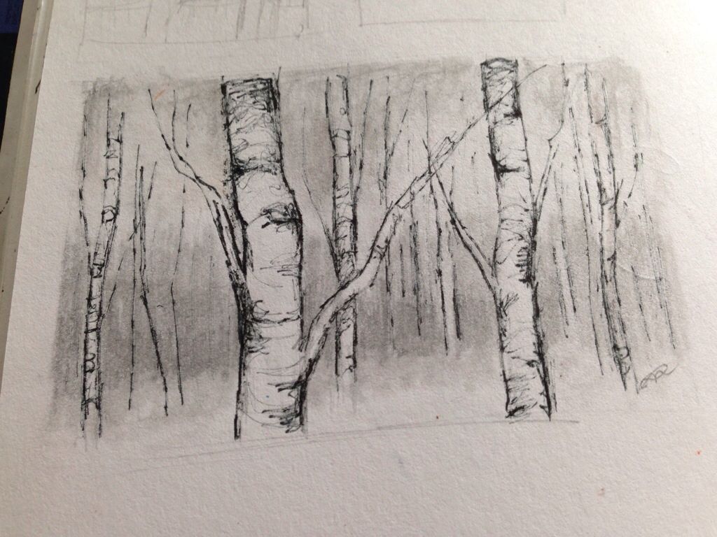 1024x768 How To Draw Birch Tree