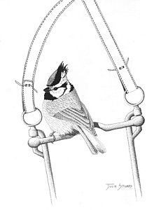 230x300 Horse Bit Drawings Fine Art America