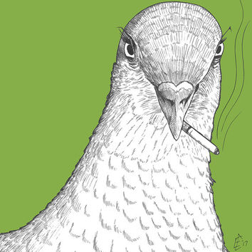 354x354 Best Bird Drawings To Print Products On Wanelo