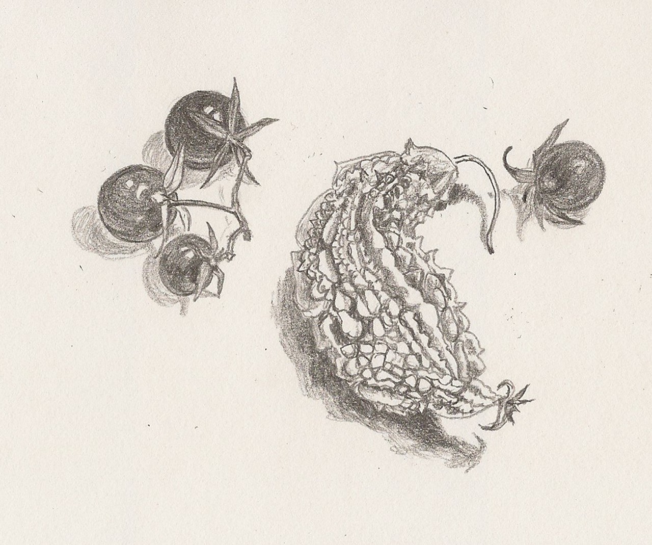 1280x1069 Sketch A Day 2011 March 7, 2011