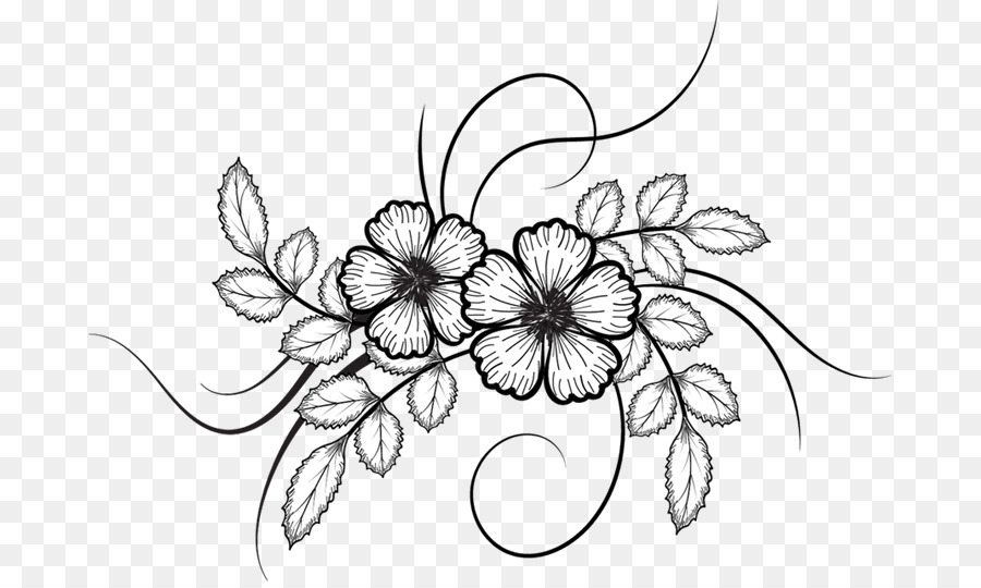 900x540 Flower Drawing
