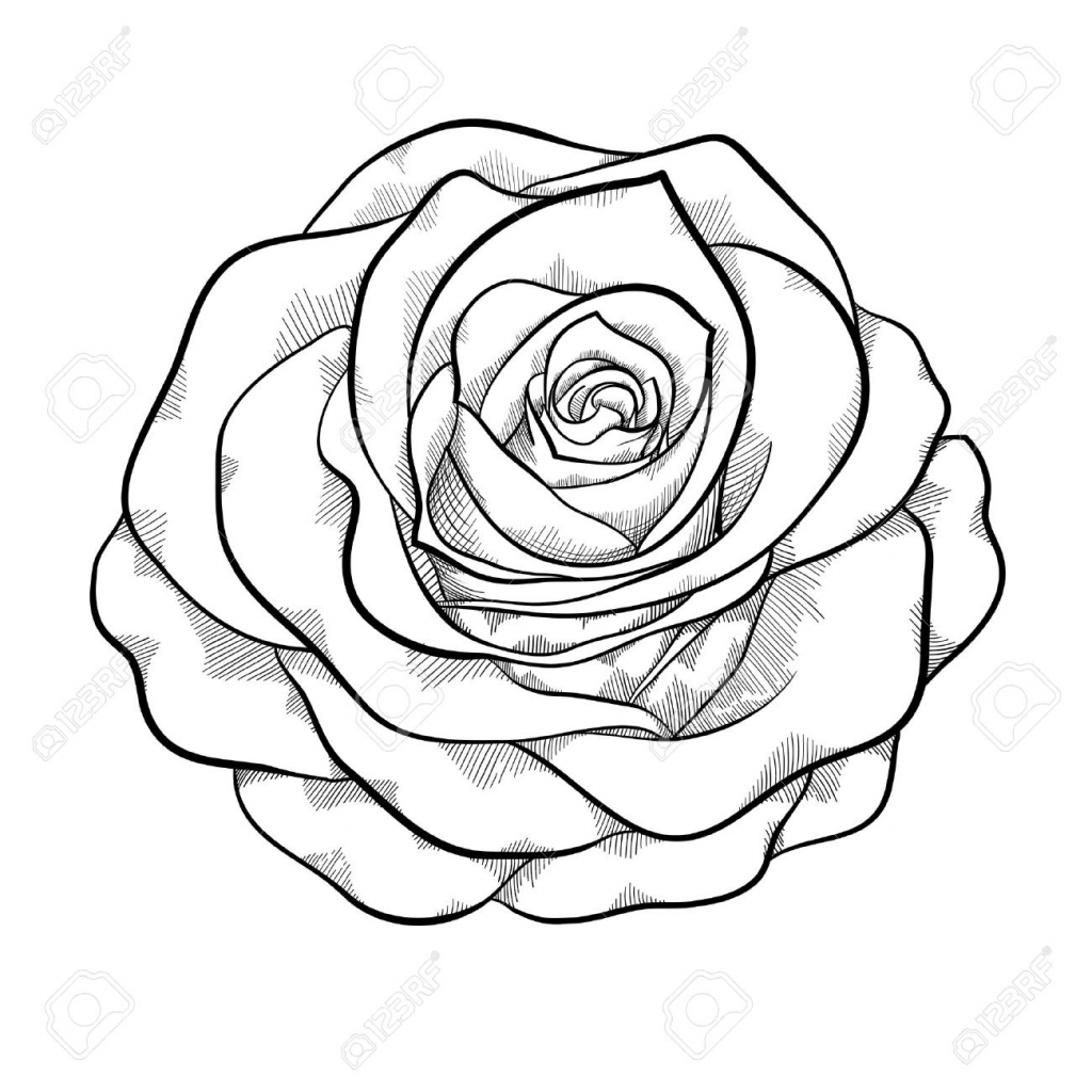 1024x1024 Rose Black And White Drawing Black And White Rose Drawing