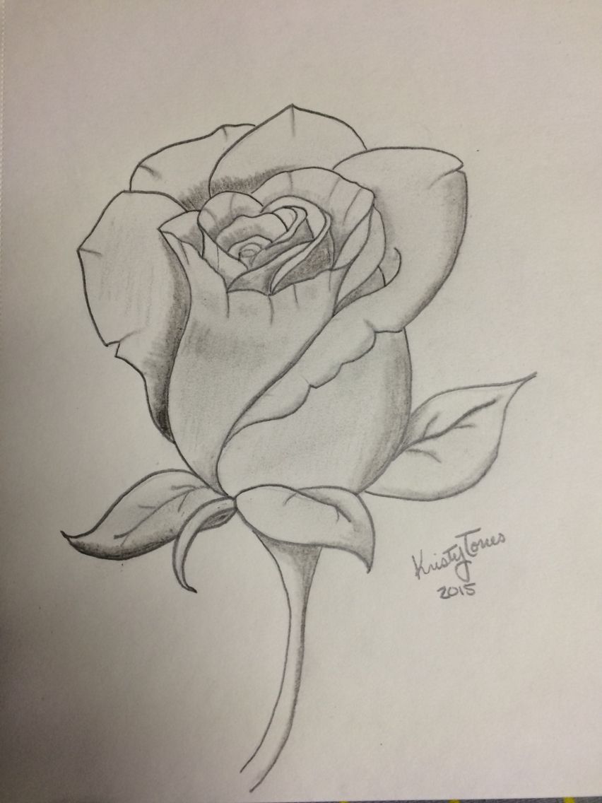852x1136 Rose Drawing Things I'Ve Made