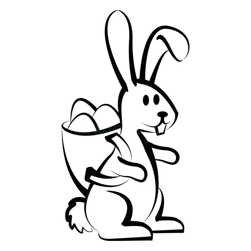 800x800 Printable Bunny Bunny Outline Printable Bunny Outline Coloring