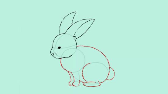 550x309 How To Draw A Bunny 13 Steps (With Pictures)