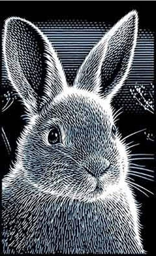 502x823 Scraperfoil Art Craft Kit Bunny, Craft Kits And Bespoke