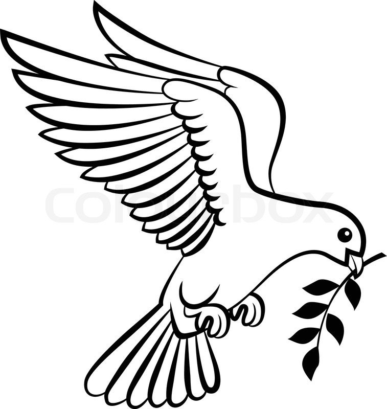 Black And White Dove Drawing
