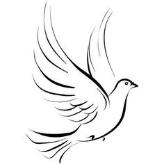 Black And White Dove Drawing at GetDrawings | Free download