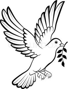 236x306 Dove Birds Drawings