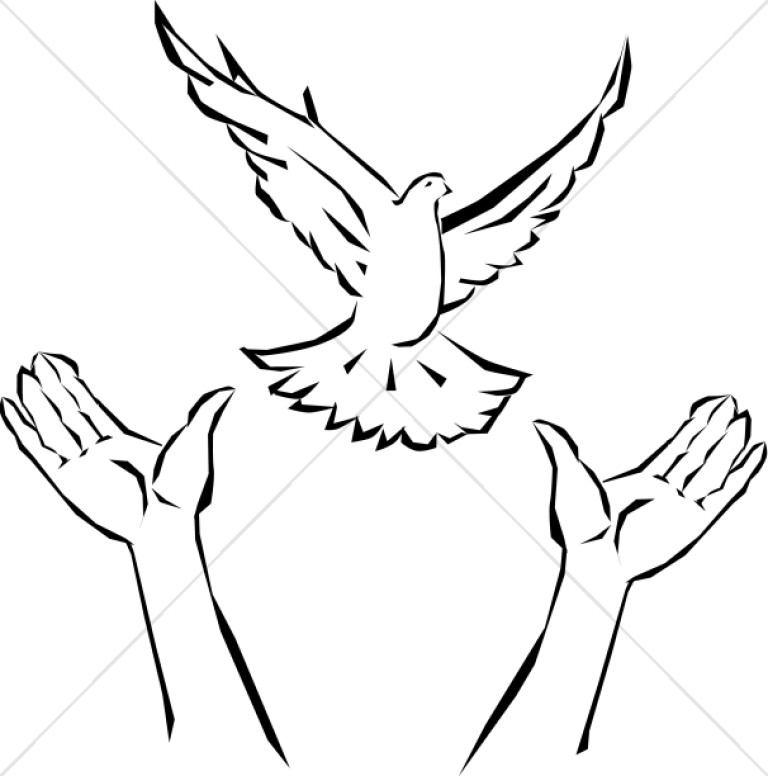 768x776 Dove Clipart, Art, Dove Graphic, Dove Image