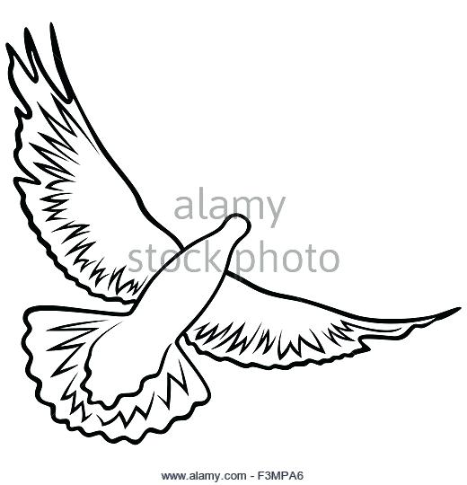 520x540 Dove Outline Clip Art Bird Flying Black And White 6 Outline Dove