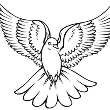 375x375 Dove Peace Tattoo Design White Dove Tattoos, Dove Tattoo Design