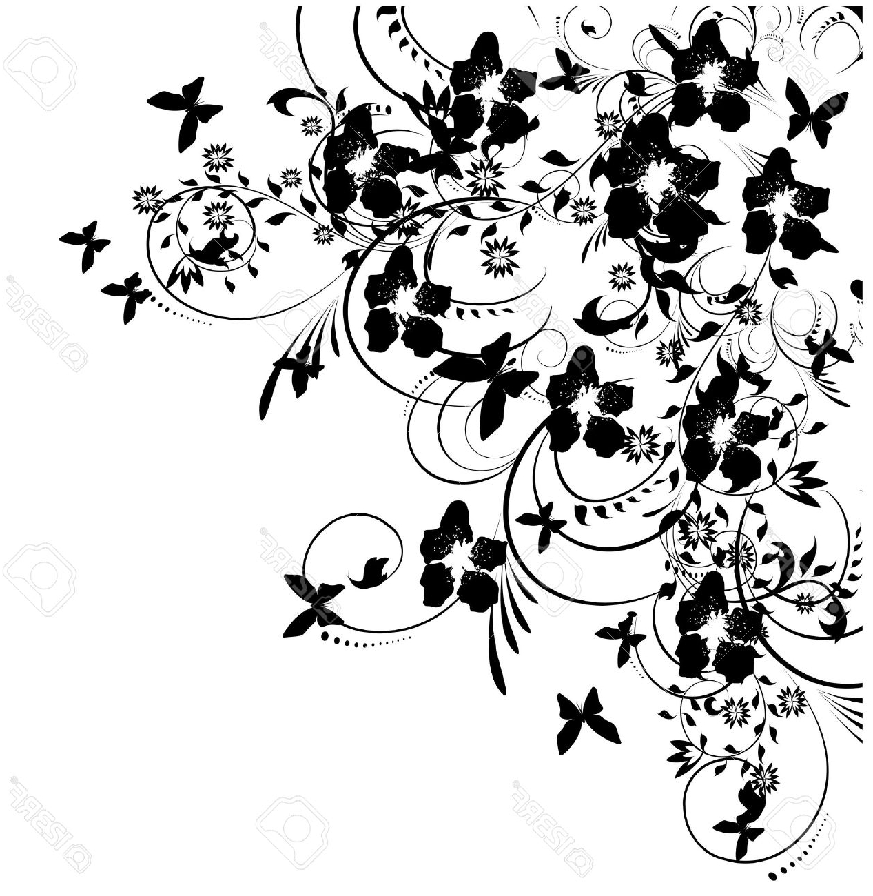 1267x1300 Flower Butterfly Black And White Drawing How To Draw A Butterfly