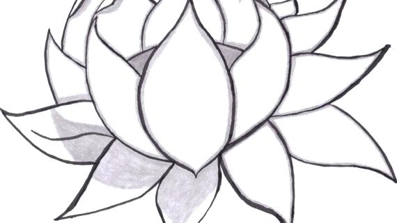 570x320 Simple Flower Drawing Flowers For Simple Lily Flower Drawing