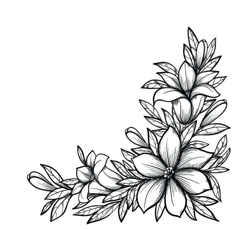 800x771 Black And White Flower Design Clip Art Black And White Flower