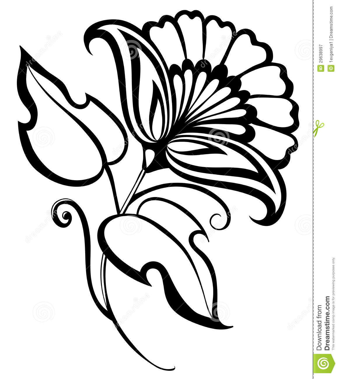 1162x1300 Black And White Flowers Drawings Beautiful Black And White Flower
