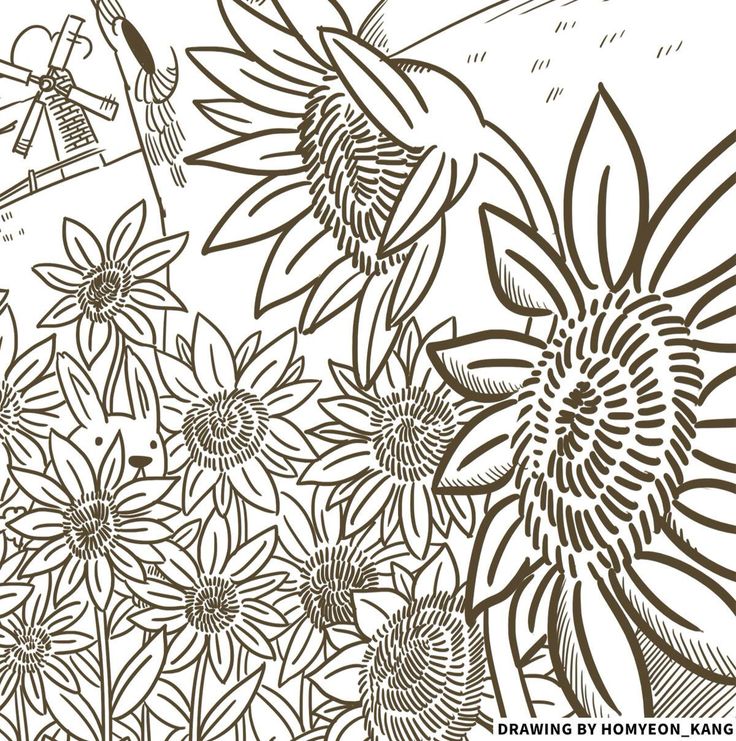 736x741 94 Best Black Amp White Drawing Images On Art Drawings