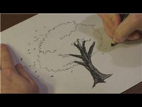 480x360 Nature Drawings How To Draw Cherry Blossoms In Black And White