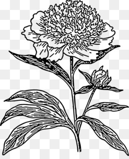 260x320 Line Art Black And White Silhouette Clip Art