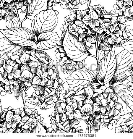 450x470 Collection Of Black And White Hydrangea Drawing High Quality